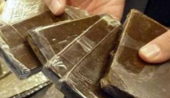 ضبط عاطلين بحوزتهما 300 طربة لمخدر الحشيش بالبحيرة