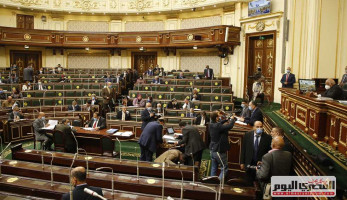 نائبة: البرلمان الجديد سيشهد تصحيح عوار تشريعات عفا عليها الزمن