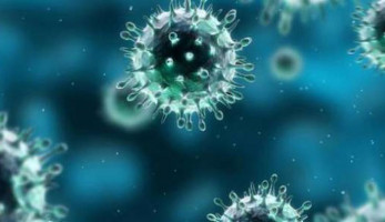 أستاذ فيروسات ومناعة: أكثر من 1460 طفرة جديدة لفيروس كورونا منذ ظهوره