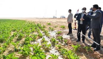 أبرز المعلومات عن مشروع "مستقبل مصر" للإنتاج الزراعي