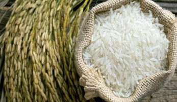 خطة «حد الكفاية» تمنع تصدير الأرز للعام الـ12 على التوالى