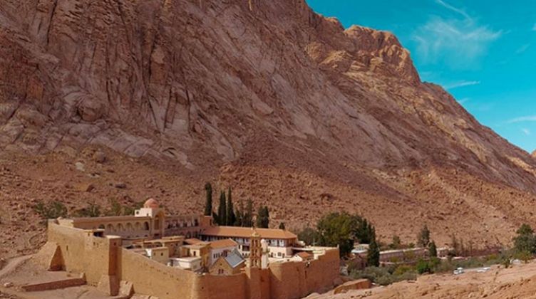 مبادرة "شتي في مصر" نجحت في تحقيق ما دُشنت من أجله