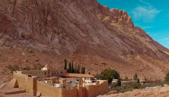 مبادرة "شتي في مصر" نجحت في تحقيق ما دُشنت من أجله