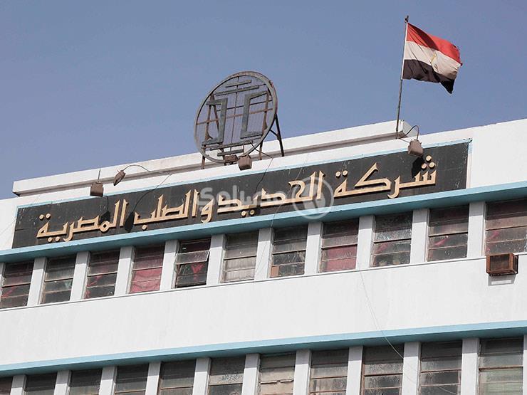 بعد جدل عرض "صحارى" .. قطاع الأعمال تنهي ملف "الحديد والصلب" نحو التصفية