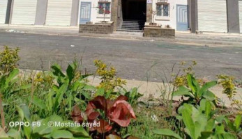 الحد الأقصى لدخل الفرد المستفيد من مبادرة التمويل العقاري: 54 ألف جنيه