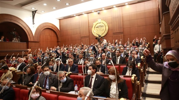 برلماني يشيد بقرار سحب قانون التعليم: يأتي تعظيما لدور مجلس الشيوخ في رفضه للمشروع