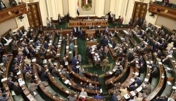 غزة في قلب البرلمان تحركات إنسانية ورسائل تُعبر عن وجدان المصريين