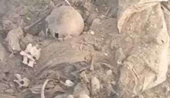 العثور على جماجم ورفات للموتى بالقرب من المحطة الوسيطة بمسطرد