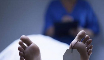 التحقيق في واقعة قتل جزار لشقيقه بمنشأة القناطر