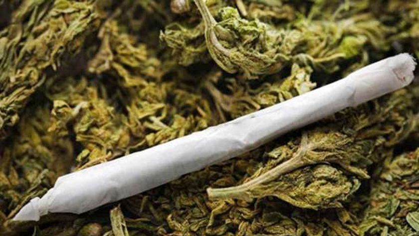 القبض على عاطل بحوزته 100 كيلو هيدرو في القنطرة شرق