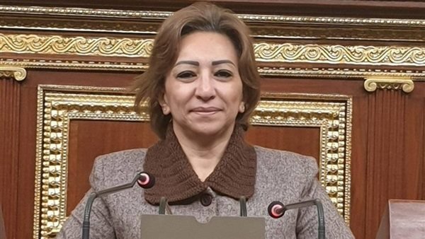 "المصري الديمقراطي" يرفض تعديلات قانون المحكمة الدستورية العليا: يعرض سمعة مصر الدولية للخطر