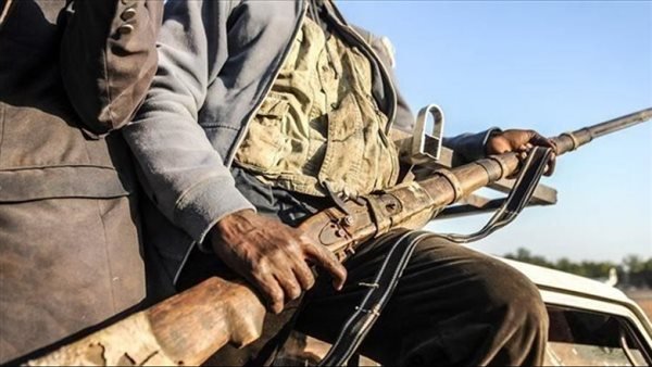 متمردو تيجراي يعلنون عودة ميكيلي بالكامل إلى سيطرتهم
