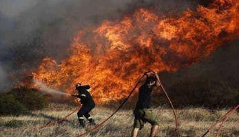عودة الرفات.. وزارة الهجرة تعلق على وفاة 4 مصريين بحرائق قبرص