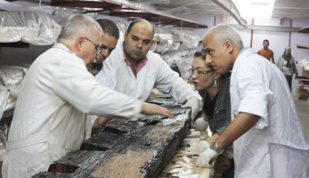"مركب خوفو والمتحف الكبير" ثمرات التعاون الأثري بين مصر واليابان