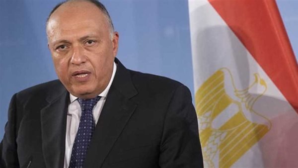شكري يستعرض مع المندوبة الدائمة لسانت فينسينت بمجلس الأمن موقف مصر من سد النهضة