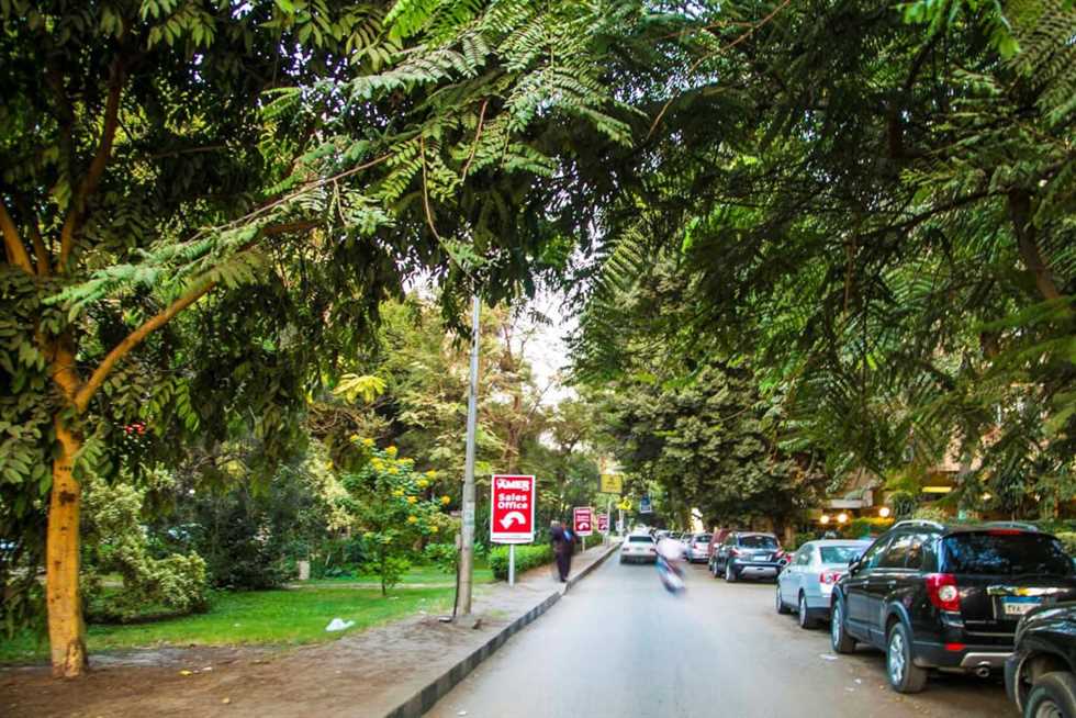 أول تدخل برلمانى لإيقاف محور الجزائر بالمعادي: سيقضى على أشجار عمرها 100 عام (تفاصيل)
