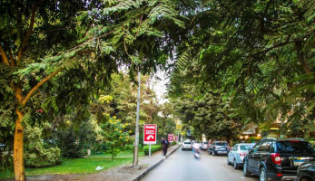 أول تدخل برلمانى لإيقاف محور الجزائر بالمعادي: سيقضى على أشجار عمرها 100 عام (تفاصيل)