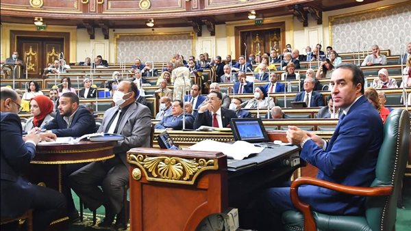 إهدار مال عام.. طلب إحاطة بشأن بعثة مصر في أولمبياد طوكيو
