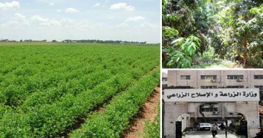 وزير الزراعة يبحث مع وزير الثروة الحيوانية بجنوب السودان التعاون المشترك