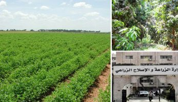 وزير الزراعة يبحث مع وزير الثروة الحيوانية بجنوب السودان التعاون المشترك