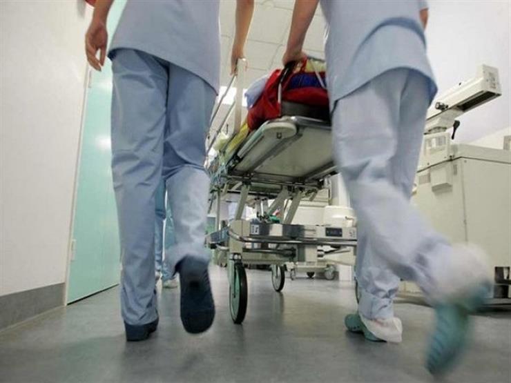 حيوان مفترس يهاجم 9 أشخاص في المنيا