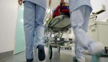 حيوان مفترس يهاجم 9 أشخاص في المنيا