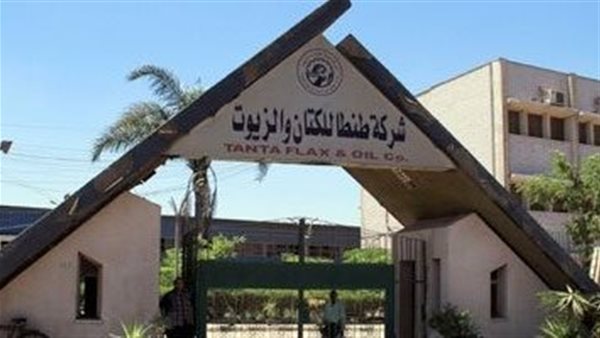 بعد نزاع 10 سنوات.. اتفاق تسوية نهائي لعودة طنطا للكتان للدولة