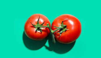 دراسة: الطماطم تحمي من سرطان المعدة