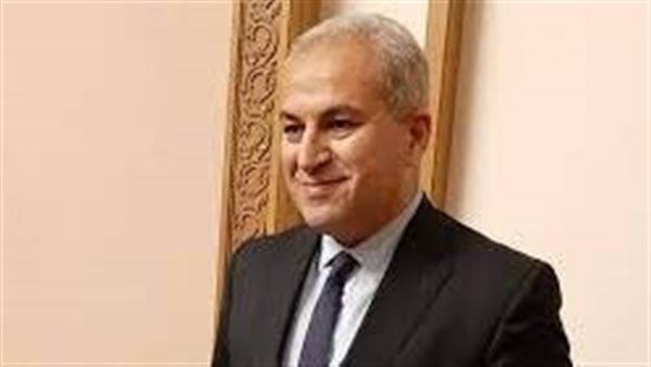 مصر تساهم في بناء الدول الإفريقية في مجال تسوية النزاعات