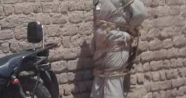 فلاح بالدقهلية يضبط 3لصوص ويوثقهم بالحبال ويبلغ الشرطة لسرقتهم دراجته النارية