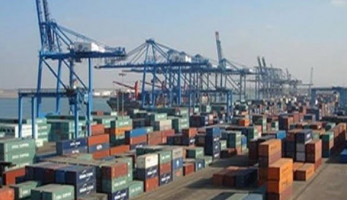 تدشين شعبة التربية الرياضية بنات بجامعة دمياط