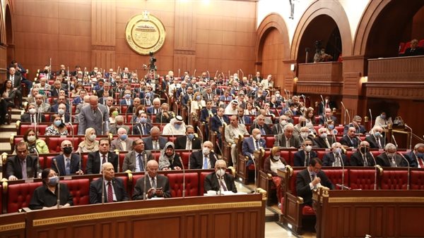 مصدر بالشيوخ يكشف موعد انتخابات اللجان النوعية بالمجلس