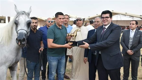 بالأسماء.. توزيع جوائز مسابقة جمال الخيول العربية بمهرجان الشرقية الـ 25