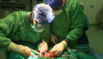 فريق طبى بمستشفى السنبلاوين ينجح فى تثبيت كسر بعظام الفك لشاب