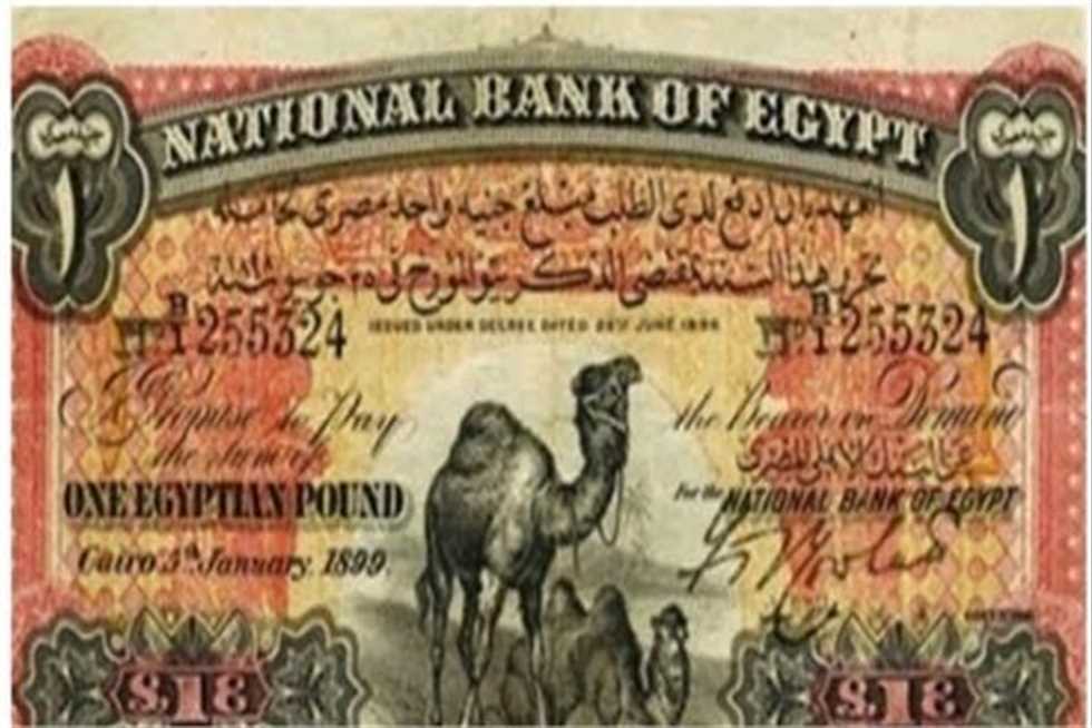 الجنيه أبو جملين يصل لمليون جنيه .. تعرف على أسعار العملات القديمة وأماكن بيعها