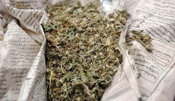 ضبط بانجو وحشيش مع عاطلَيْن في أسوان