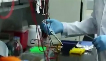 بالفيديو .. رحلة علماء القومي للبحوث للوصول إلى اللقاح المصري "كوفى فاكس"