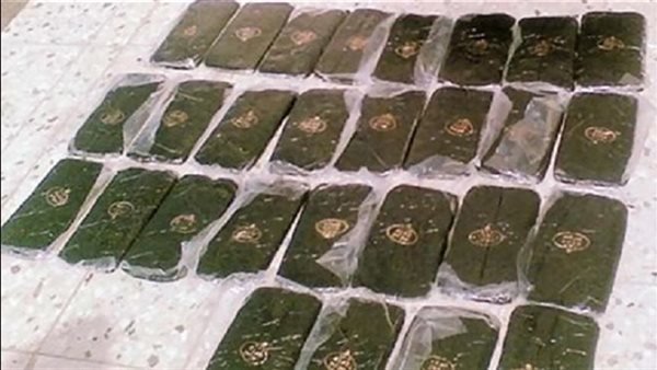 ضبط 20 عاطلا بحوزتهم مواد مخدرة في القليوبية