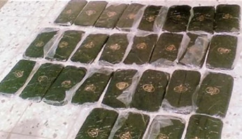 ضبط 20 عاطلا بحوزتهم مواد مخدرة في القليوبية