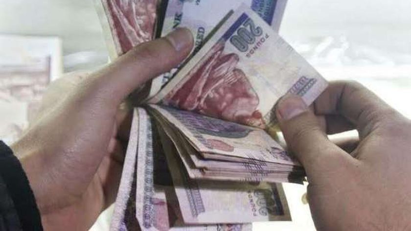 2400 جنيه «حد أدنى» للرواتب في القطاع الخاص بدءا من يناير المقبل