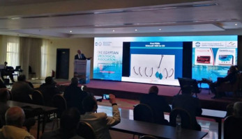 دواء مصري جديد يدعم قدرة الرجال المتأخرين عن الإنجاب
