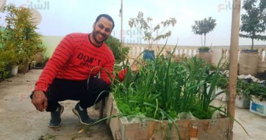 من الباشن فروت إلى البلاك بيرى.. حكاية شاب بالبحيرة يحول سطح منزله لمزرعة فواكه استوائية نادرة.. ويؤكد: "الزرع زى الإنسان عايز اللى يطبطب عليه علشان ينمو ويرعرع".. فيديو وصور