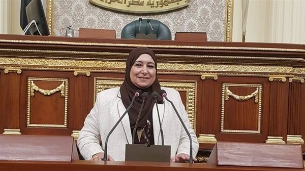 طلب إحاطة لوقف تشغيل مستشفى كفر الدوار العام للعزل