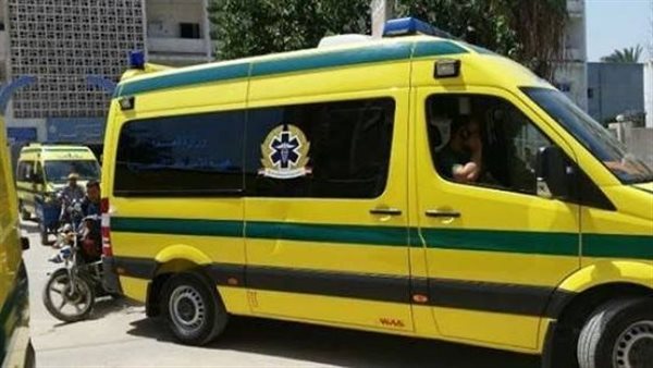 حبس سائق سوداني متهم بقتل شاب بالمنيرة
