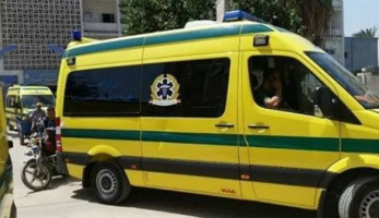 حبس سائق سوداني متهم بقتل شاب بالمنيرة