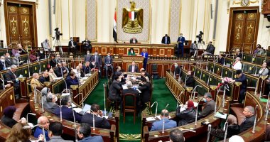 ما هى أسباب تمسك مجلس النواب برفض مادة الضبطية القضائية بقانون المالية الموحد؟