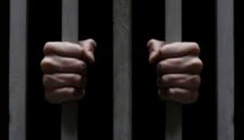 بـ طعنة في البطن.. المؤبد لعامل قتل شخصًا خلال مشاجرة بمدينة نصر