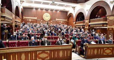 تقريرر لـ"الشيوخ": 318 مليار جنيه مخصصة لتطوير العشوائيات