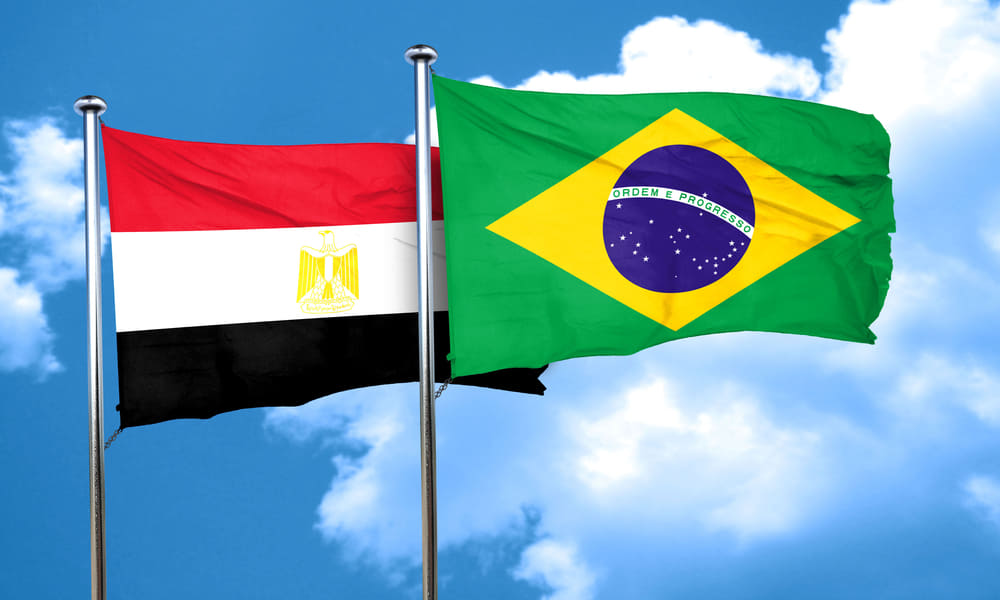 ارتفاع 30% في حجم التجارة البينية بين مصر والبرازيل.. و4 منتجات تشهد طفرة تصديرية