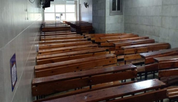 أغاني شعبية ورقص في السناتر.. التعليم تعلن ملاحقة معلمة فلسفة بالإسكندرية
